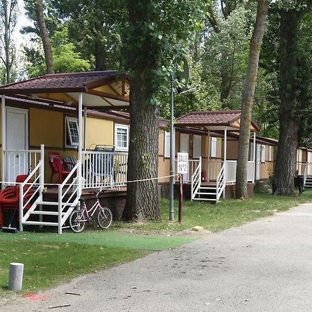 Camping Fuentes Blancas Burgos Bilik gambar